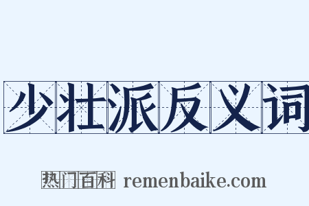 少壮派反义词是什么意思的图片